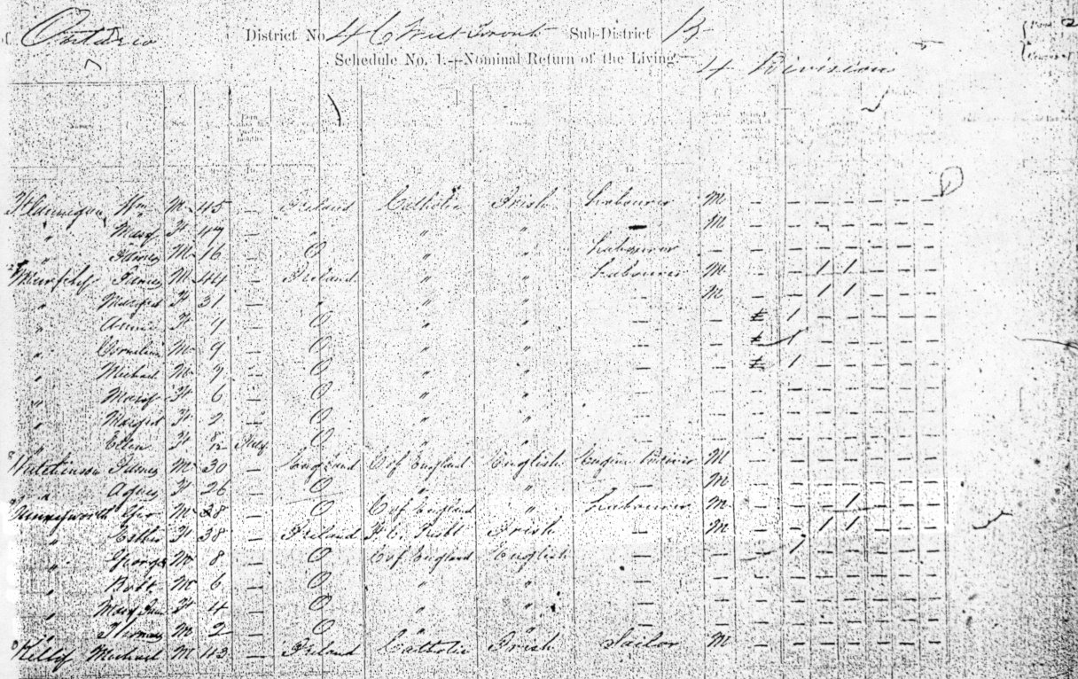 1871 Ontario Census record for George Cunneyworth
