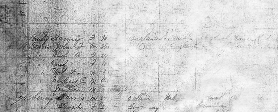 1871 Ontario Census record for John Freeman Davis