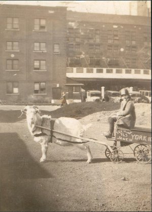 Photo of Ron with goat cart, 1935